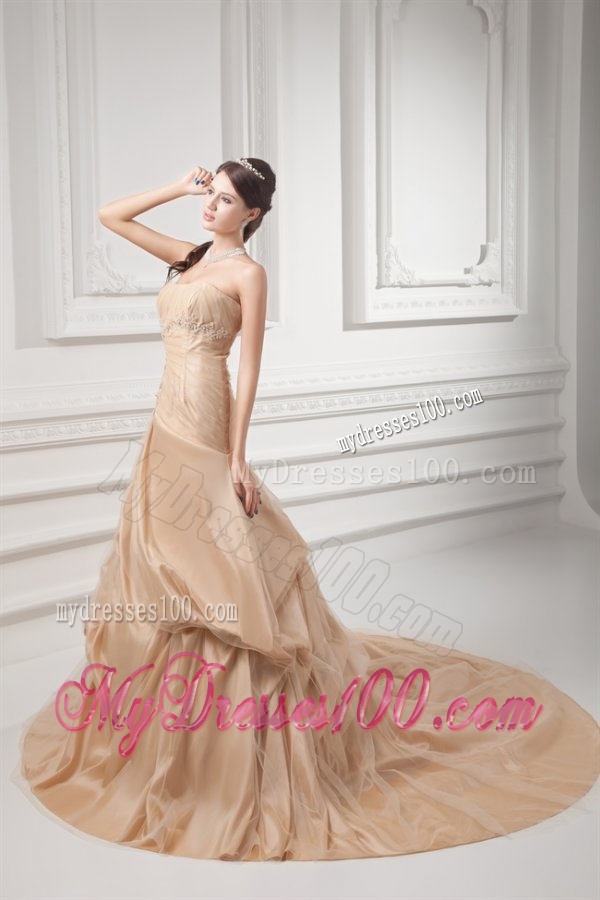 Champagne Strapless Court Train Wedding Dress with Embroidery and Pick-ups