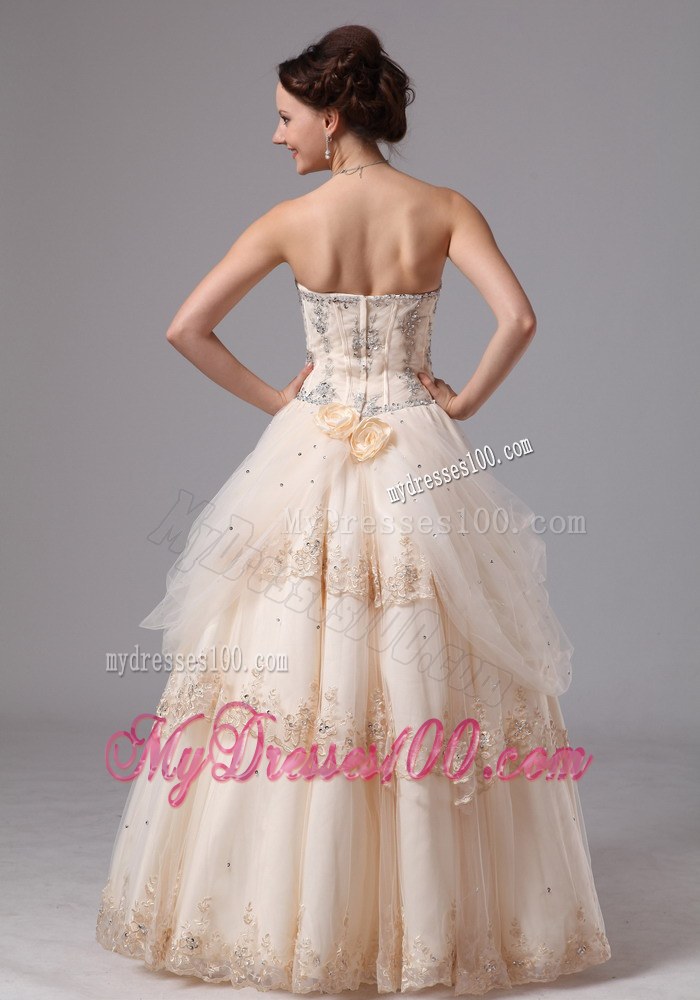 Beautiful Champagne Sweetheart Lace Wedding Dress with Appliques