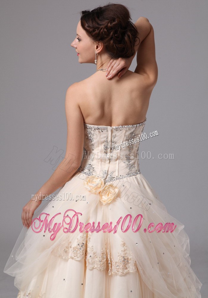 Beautiful Champagne Sweetheart Lace Wedding Dress with Appliques
