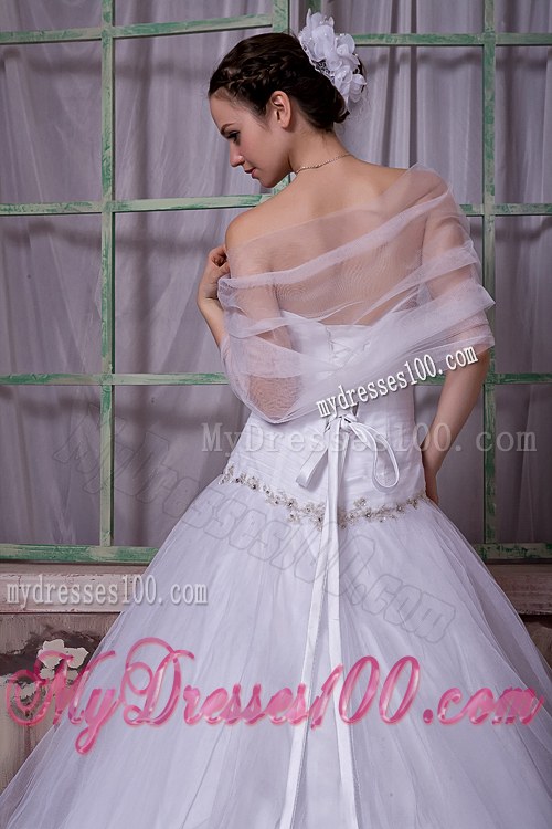 Elegant A-line / Princess Strapless Chapel Train Tulle Appliques