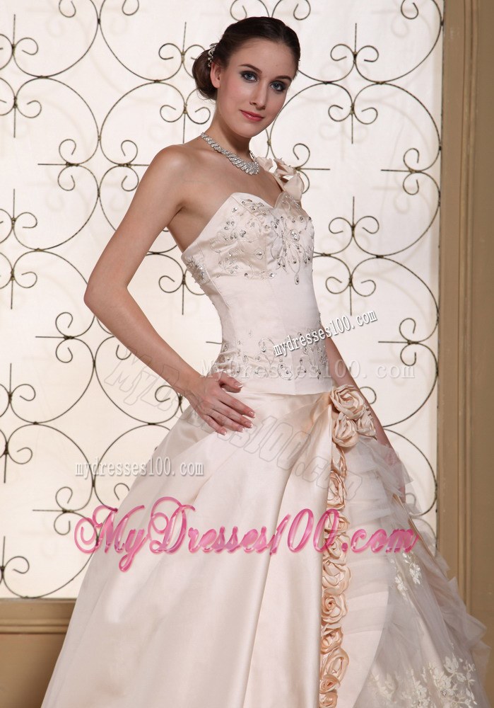 Champagne Flowers One Shoulder Ball Gown Wedding Dress For 2013