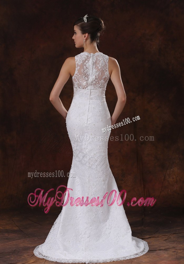Luxurious Lace Mermaid Brush Train V-Neck Wedding Dress For 2013
