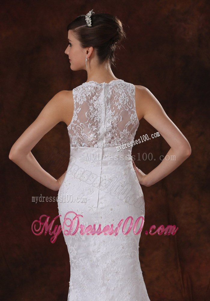 Luxurious Lace Mermaid Brush Train V-Neck Wedding Dress For 2013