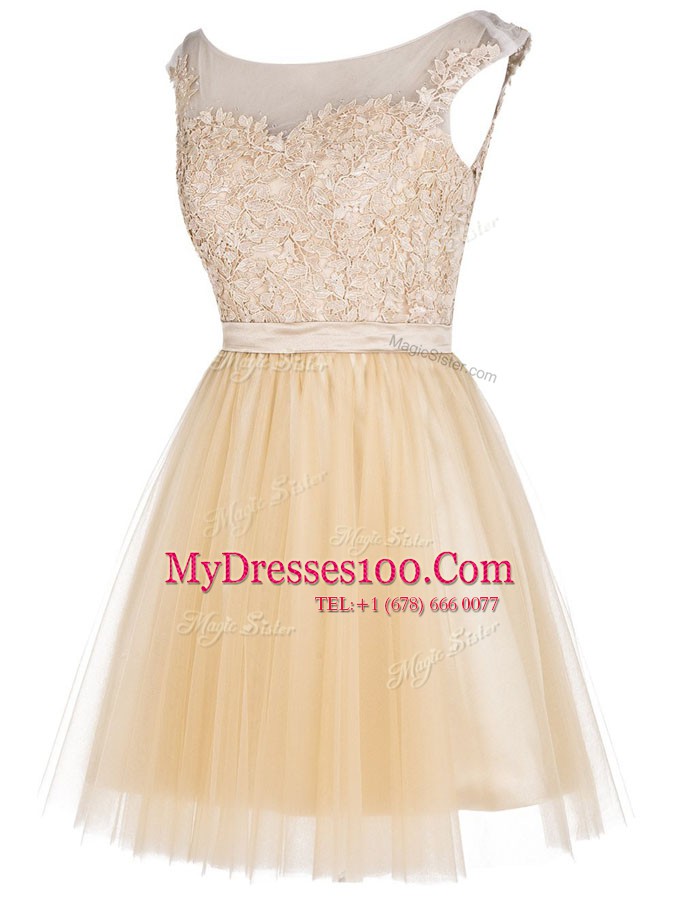 Great Tulle Bateau Sleeveless Zipper Lace Cocktail Dress in Champagne