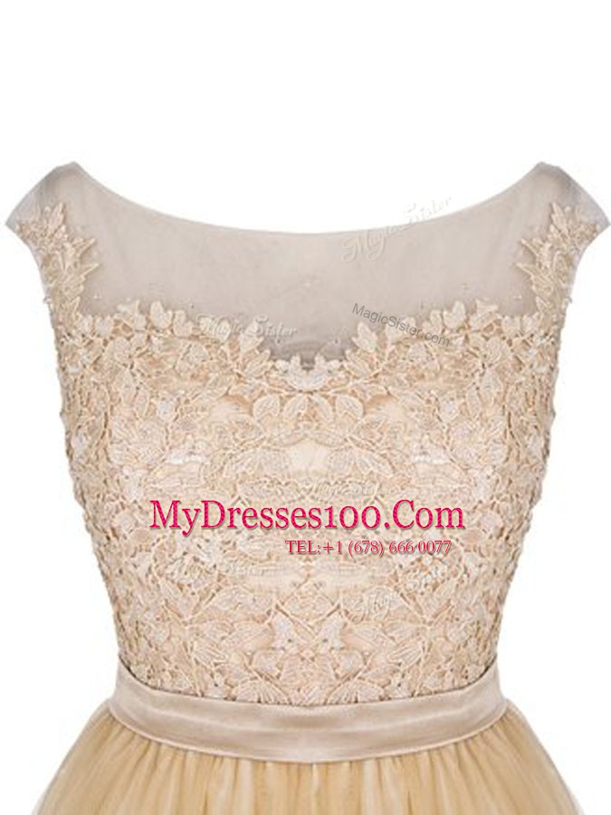 Great Tulle Bateau Sleeveless Zipper Lace Cocktail Dress in Champagne