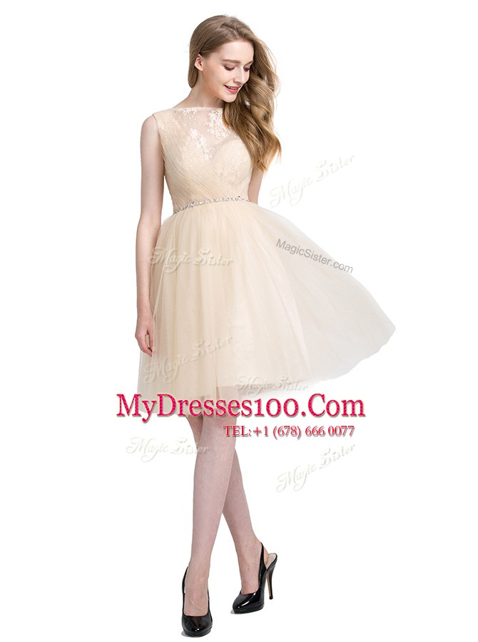 Beautiful Bateau Sleeveless Clasp Handle Prom Gown Champagne Tulle