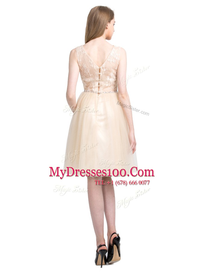 Beautiful Bateau Sleeveless Clasp Handle Prom Gown Champagne Tulle