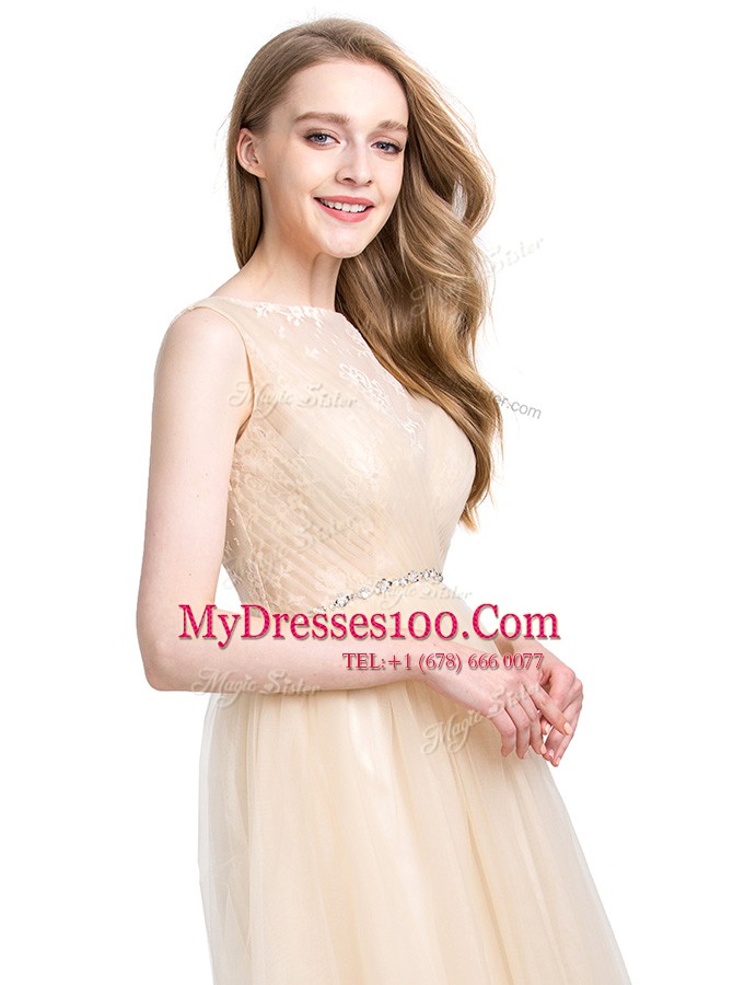 Beautiful Bateau Sleeveless Clasp Handle Prom Gown Champagne Tulle