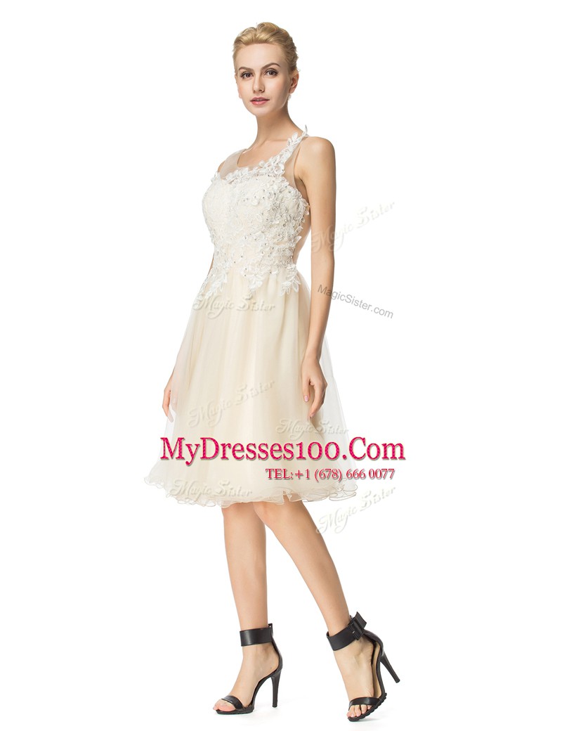 Vintage Scoop Champagne Organza Zipper Prom Dresses Sleeveless Knee Length Beading