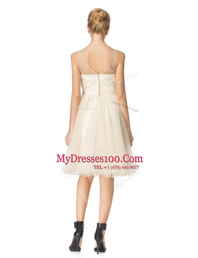 Vintage Scoop Champagne Organza Zipper Prom Dresses Sleeveless Knee Length Beading