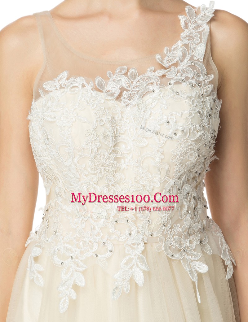 Vintage Scoop Champagne Organza Zipper Prom Dresses Sleeveless Knee Length Beading