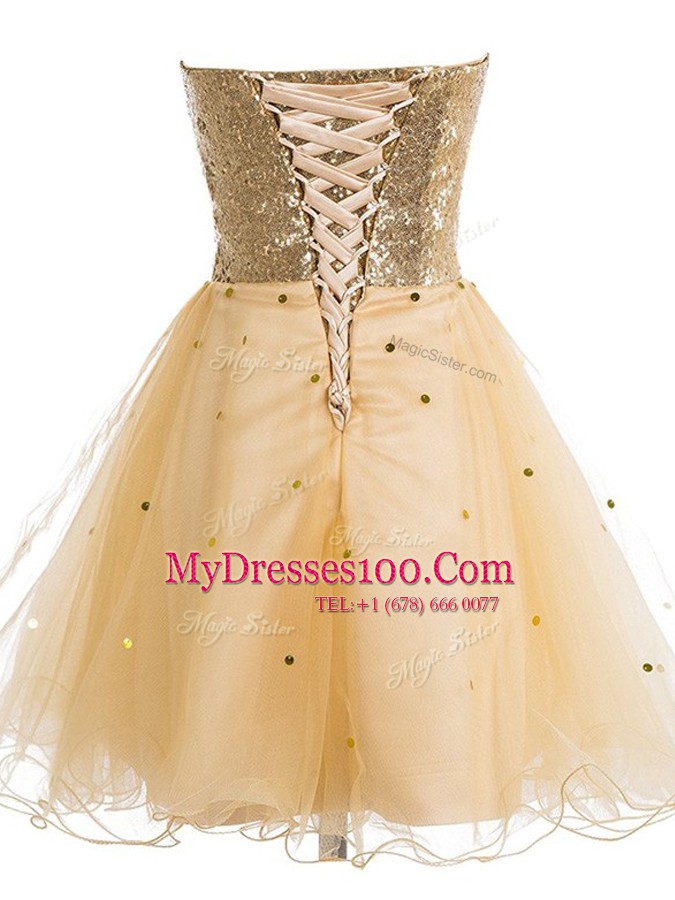Champagne A-line Organza Sweetheart Sleeveless Sequins Mini Length Lace Up Dress for Prom