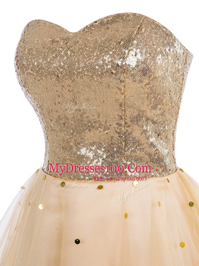 Champagne A-line Organza Sweetheart Sleeveless Sequins Mini Length Lace Up Dress for Prom