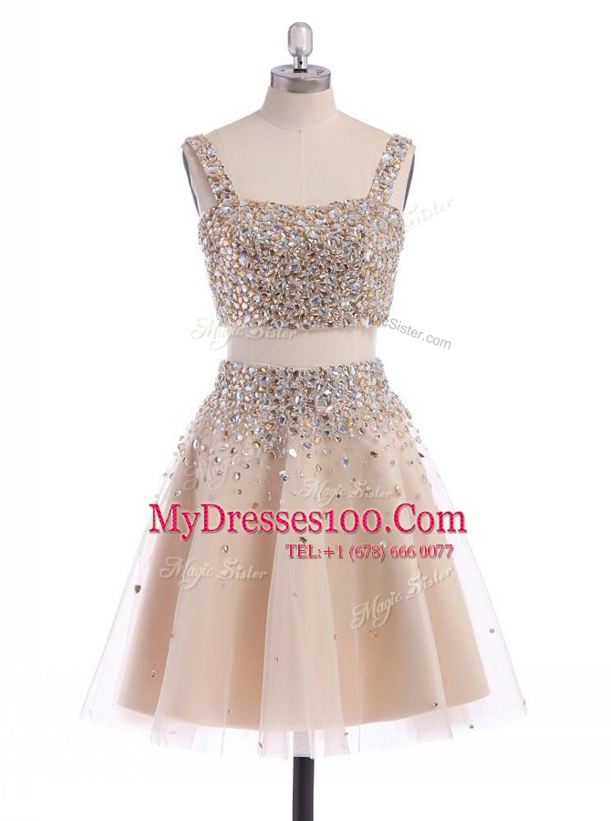Romantic Straps Champagne A-line Beading Evening Dress Zipper Organza Sleeveless Mini Length