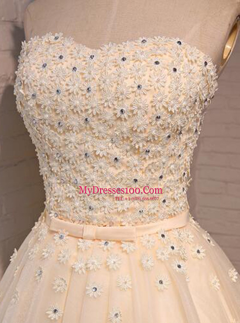 Excellent Organza Sweetheart Sleeveless Lace Up Appliques Prom Evening Gown in Champagne