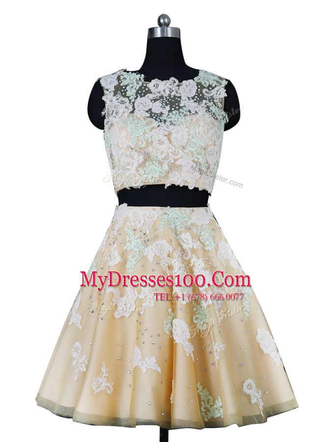 Custom Made Champagne Scoop Zipper Beading and Appliques Prom Gown Sleeveless