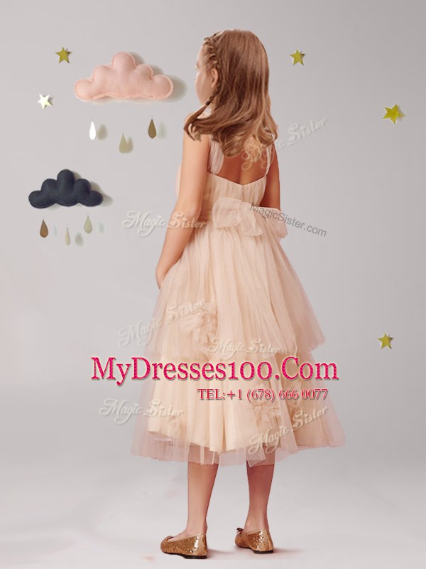 Empire Dress for Prom Champagne Straps Tulle Sleeveless Floor Length Zipper