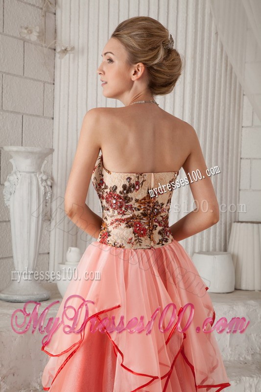 Watermelon Column Sheath Strapless Printing Celebrity Dress