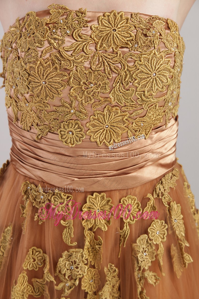 Empire Strapless Appliques Decorate Celebrity Dress in Rust Red
