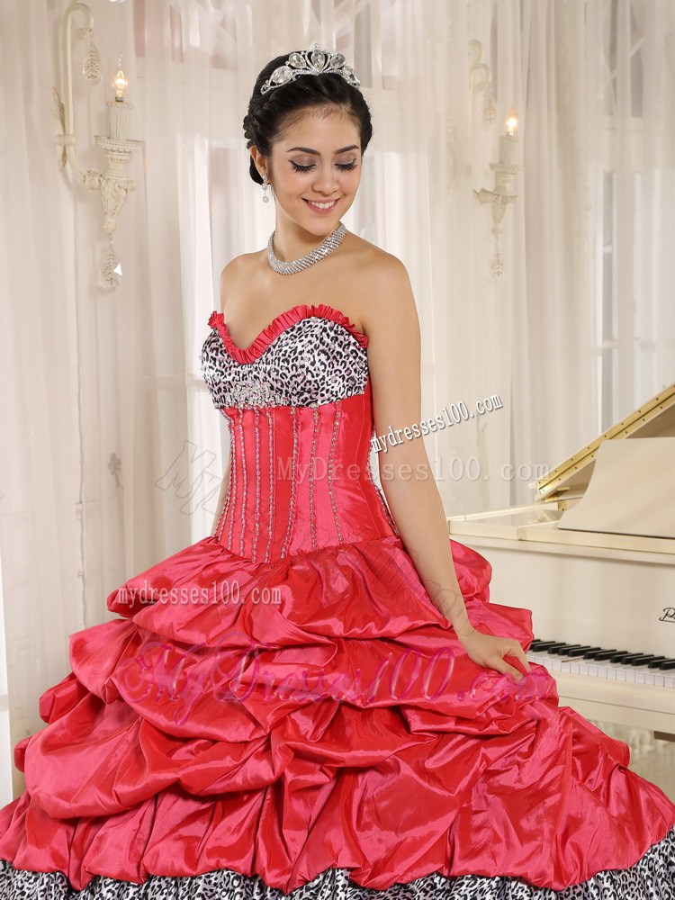 Watermelon and Black Ruffles Quinces Dresses Added Zebra Print