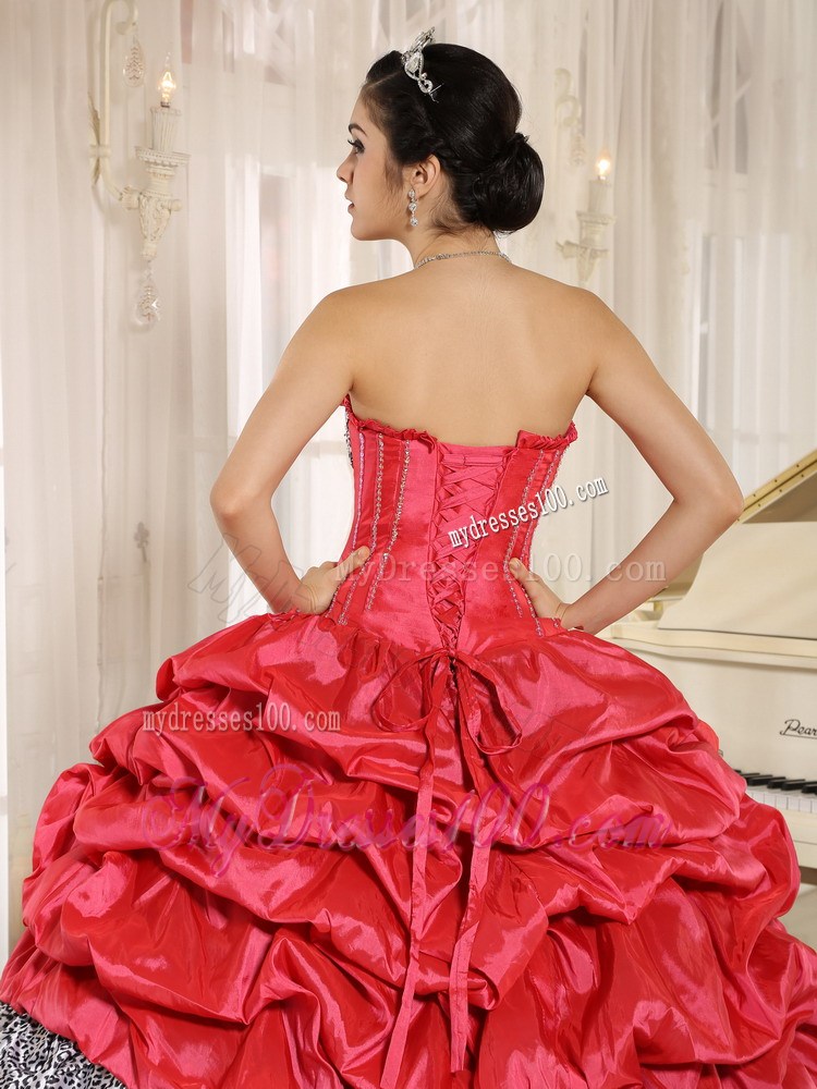 Watermelon and Black Ruffles Quinces Dresses Added Zebra Print