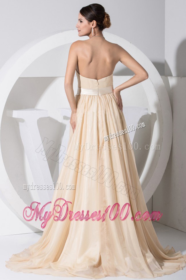 Champagne Sweetheart Brush Train 2013 Ruching Celebrity Dresses
