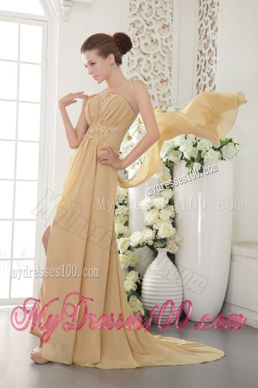 Gold Strapless Brush Train Appliques and Ruched Celebrity Dresses