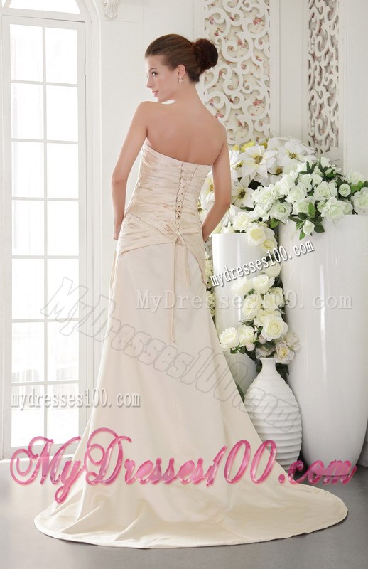 Champagne Column Strapless Pleat and Beading Long Celebrity Dresses