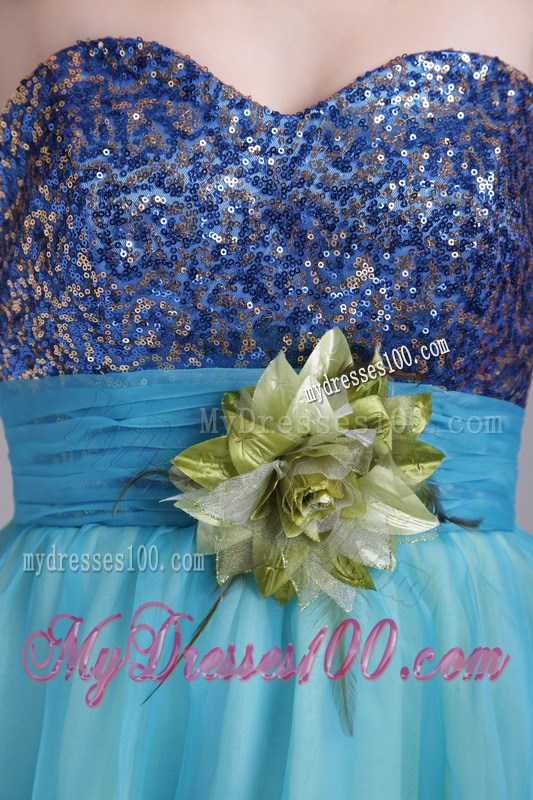 Baby Blue Princess Sweetheart Floor-length Flowers Graduation Dresses