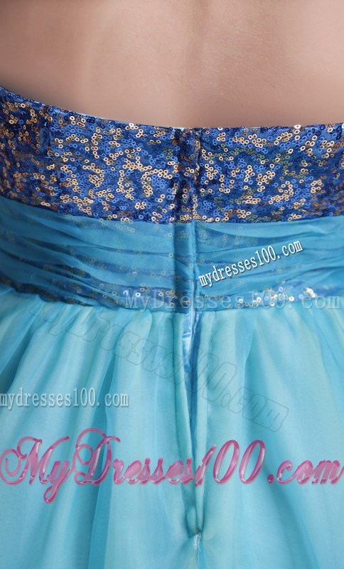 Baby Blue Princess Sweetheart Floor-length Flowers Graduation Dresses
