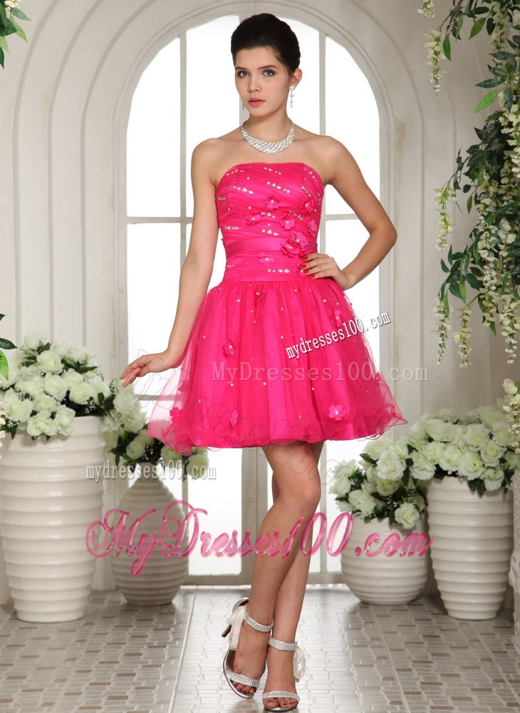 2013 Hot Pink Homecoming Dresses With Appliques and Beading