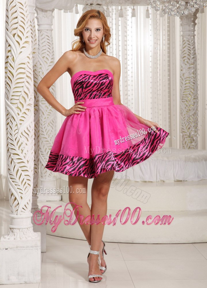 Stylish Zebra 2013 Short Homecoming Dresses With Hot Pink