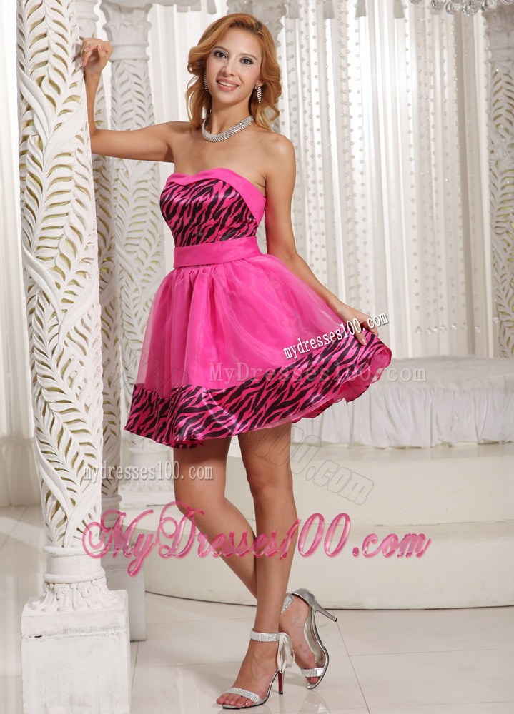 Stylish Zebra 2013 Short Homecoming Dresses With Hot Pink