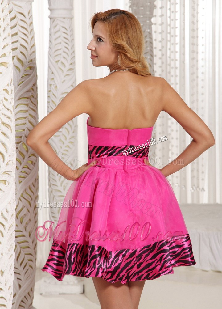 Stylish Zebra 2013 Short Homecoming Dresses With Hot Pink