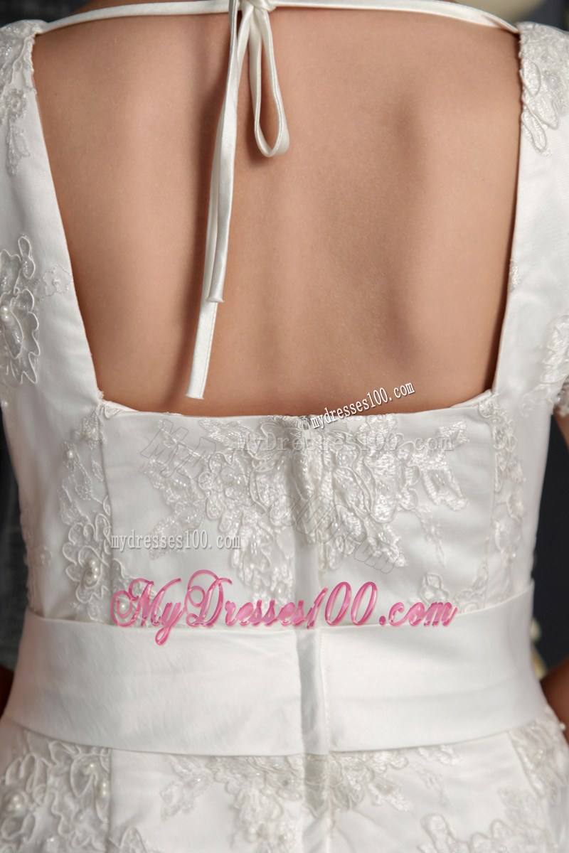 Elegant V-neck Half-sleeve Cathedral Train White Lace Wedding Gown