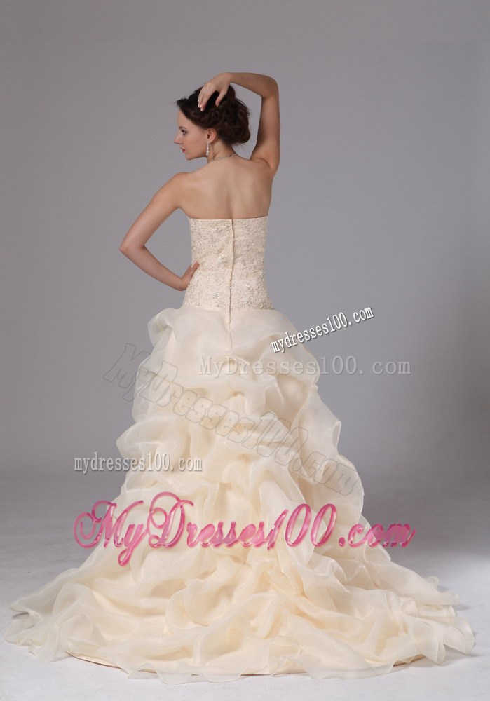 Handle Flowers Pick-ups and Beaded Appliques Decorated Wedding Gowns