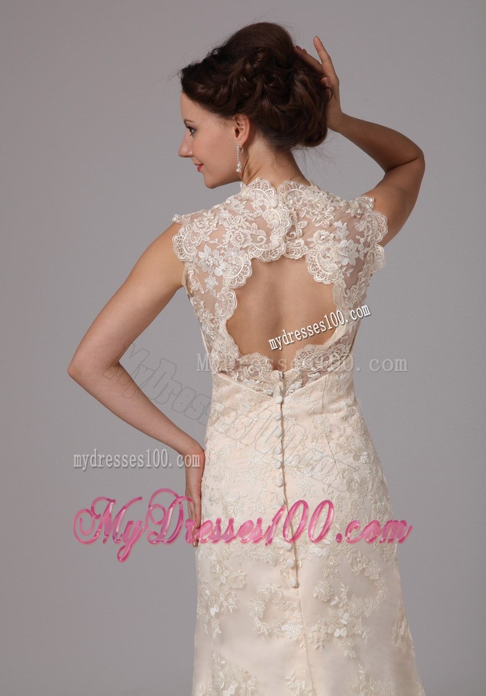 Button Down Back Lace Flowers Sweep Train Wedding Dress in Champagne