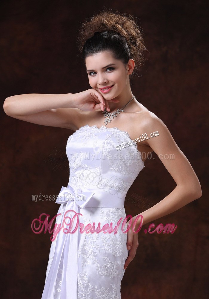 Lace Column Strapless Sleeveless Brush Train Wedding Gown with Sash