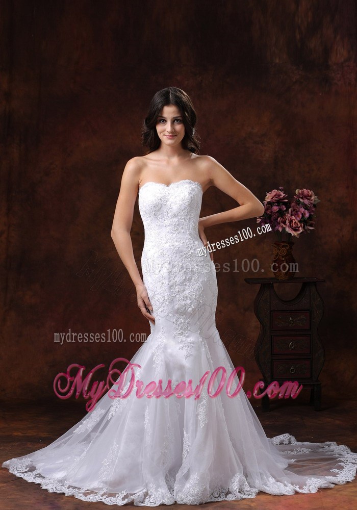Lace-up Back Mermaid Embroidery Wedding Gowns with Lace Flowers Edge