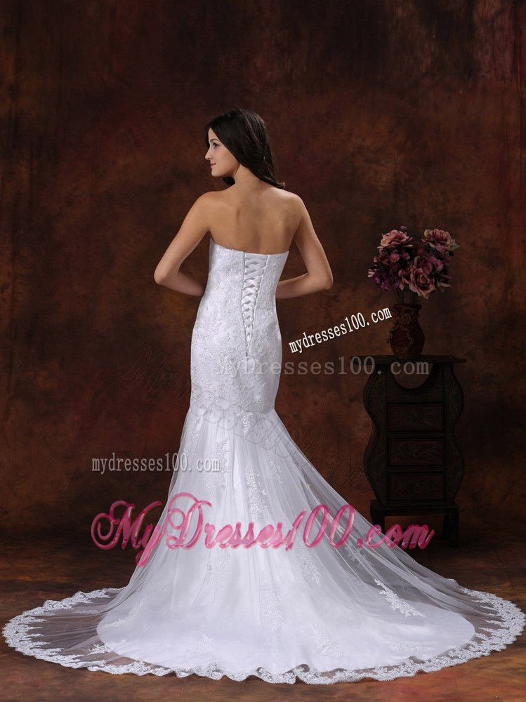 Lace-up Back Mermaid Embroidery Wedding Gowns with Lace Flowers Edge