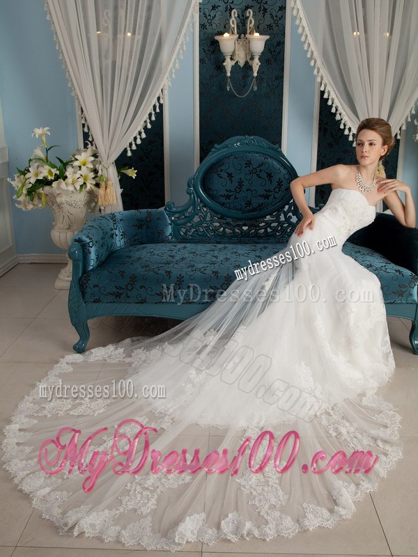 Wonderful Strapless Chapel Train Wedding Dress with Appliques