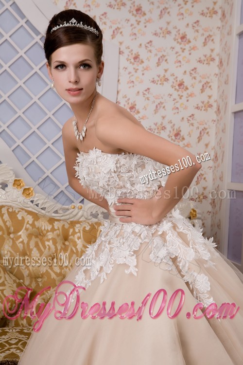 Champagne Ankle-length Dress for Brides with Ruched Sash and White Appliques