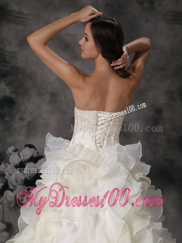 Charming Chapel Train Appliqued Wedding Dresses with Ruffles and Flowers