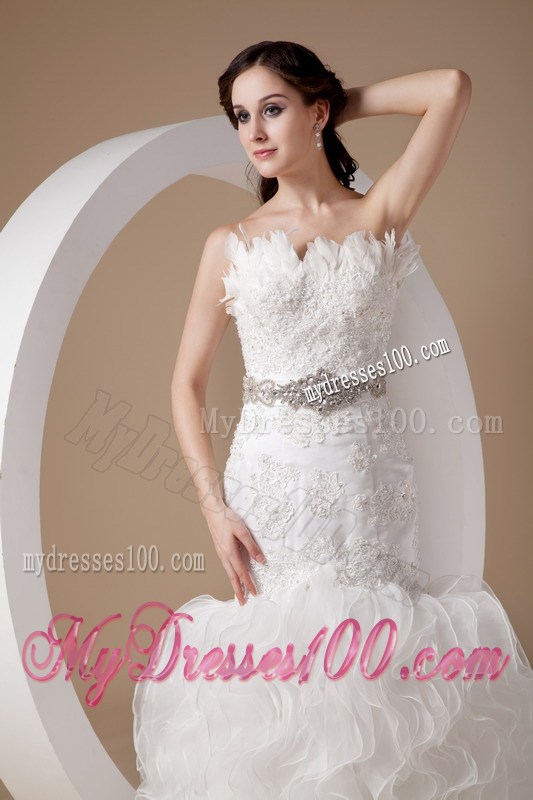 Beading and Appliques Accent Mermaid Organza Court Train Wedding Gown