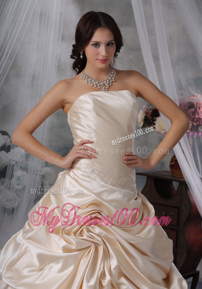 Pick-ups Decorated Bodice Bridal Dress in Champagne with Court Train