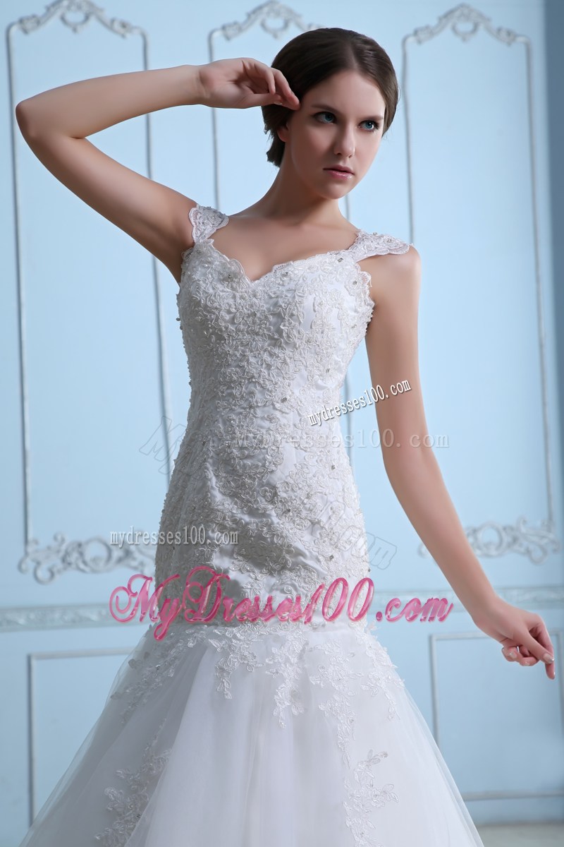 Floral Appliques and Beading Straps Sheath Bridal Gowns with Court Train