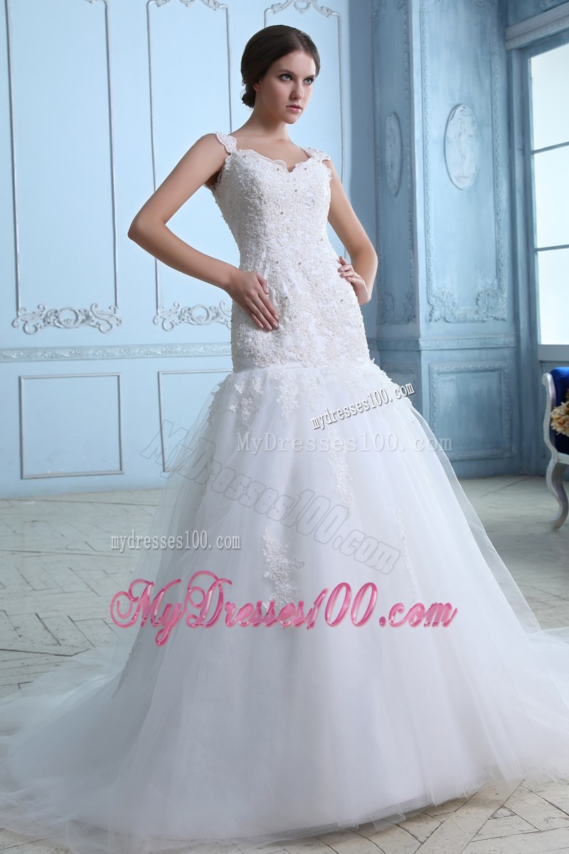 Floral Appliques and Beading Straps Sheath Bridal Gowns with Court Train