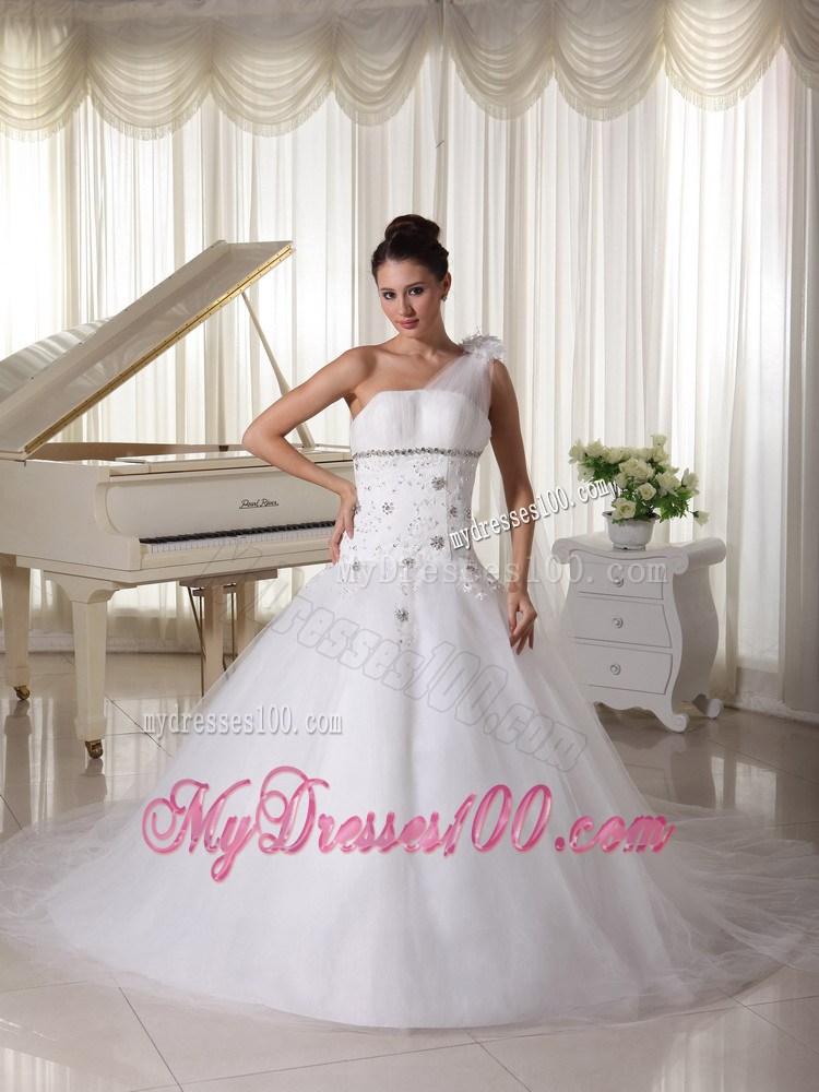 One Shoulder Princess Wedding Dresses with Appliques and Watteau Train