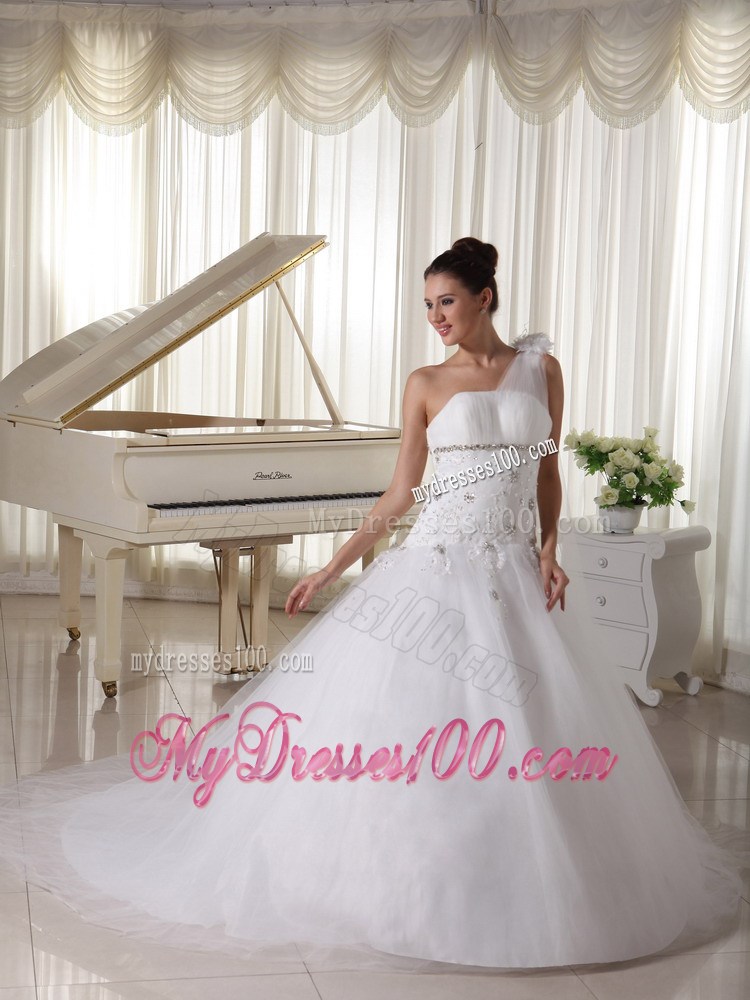 One Shoulder Princess Wedding Dresses with Appliques and Watteau Train