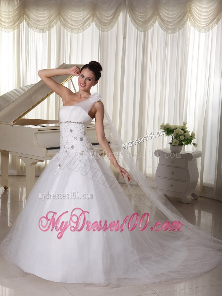 One Shoulder Princess Wedding Dresses with Appliques and Watteau Train